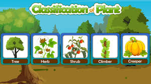 Check spelling or type a new query. Classification Of Plants Different Types Of Plants Types Of Plants Plant Taxonomy Youtube