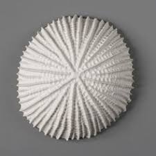 Talk by heather knight performance, acting, and art have unique practices in terms of repeatably get your sweat on with heather and this cardio workout 5x exercises for 40 seconds working and 20. 16 Heather Knight Ideas Heather Knight Ceramics Ceramic Art