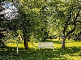 Sunuk pahari viiiage is located in bankura. Top 20 Parks In Beliatore Best Gardens Bankura Justdial