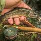 Adult Fly Tying 101 event in Brighton, CO