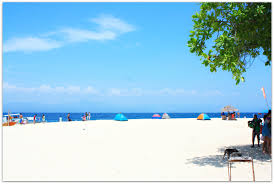 Funtastic Moalboal Beach Resorts Travelingcebu Com Book your moalboal beach resort cebu room here. funtastic moalboal beach resorts