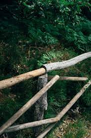 Kali ini kami menghadirkan pagar metal yang terinspirasi dari pagar kayu. Pagar Kayu Tua Bar Rusak Negara Pedesaan Elemen Pagar Hijau Log Alam Pxfuel