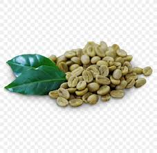 Green Coffee Extract Coffee Bean Tea Png 800x800px Coffee Arabica Coffee Bean Chlorogenic Acid Coffee Bean More than 12 million free png images available for download. green coffee extract coffee bean tea