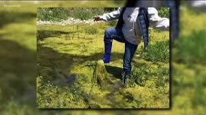 Two swimmers contract bacterial infections after swimming in San Gabriel  River