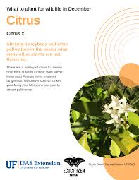 Make sure you place the box a few feet off of the ground to keep it away from pests and to make it more visible to the bees. Florida Friendly Seasonal Planting Guide