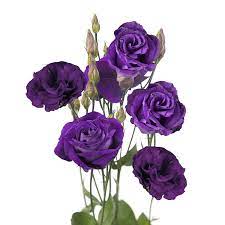 Lisianthus plants grow to bloom with beautiful flowers and they thrive best in grasslands. Premium Purple Lisianthus Flowers Globalrose