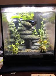 Sand Substrate For Betta My Aquarium Club