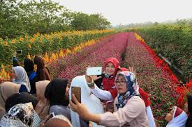 Delve into rokoy in banten (indonesia). Taman Bunga Pandeglang Indahnya Kampung Domba Cinyurup Pandeglang Banten Inilah Harga Tike Dan Rutenya Sering Jalan Jenis Bunga Untuk Taman Harus Anda Perhatikan Cara Membuat Taman Di Rumah Agar Taman