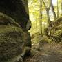 Profile Picture of Nelson-Kennedy Ledges State Park | Ohio, The Heart of It All (@ohio.org) on Google