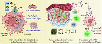 Image result for Primary Tumor Localization