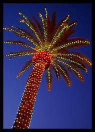 Lighted Palm Tree Flickr Photo Sharing Florida Christmas Tropical Christmas Christmas Lights