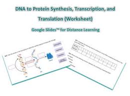 Explain the role of dna, mrna, ribosomes, amino acids and trna have in protein synthesis . Dna Protein Synthesis Worksheets Teaching Resources Tpt