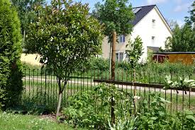 Der Garten Steckzaun Anneau 115 Roh Hat Nach 3 Monaten Schon Eine Schone Rostpatina Hundezaun Steckzaun Garten