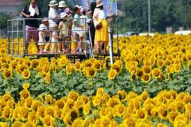 Meme lucu nobita dan doraemon) Himawari No Yakusoku Translation Indonesia