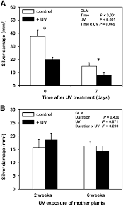 The company relies on annual contracts that. Ultraviolet Radiation Modulates Both Constitutive And Inducible Plant Defenses Against Thrips But Is Dose And Plant Genotype Dependent Springerlink