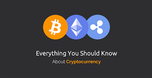 Contains gold coin, money, exchange, cash, dollar, wallet, digital currency, mining, calculator, security, cloud storage. What Every Developer Should Know About Cryptocurrency Tutorialzine