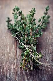 Cuisinez Avec Le Thym Herbes Aromatiques Herbe Thym