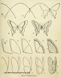 Hello everyone , hope you are doing great ! Pencil Step By Step Butterfly Drawing