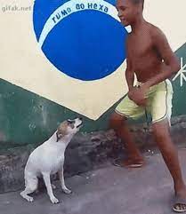 Brazil Dog Dance Know Your Meme