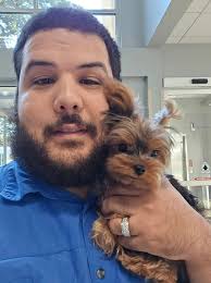 Pet insurance covers medical needs at a low monthly cost