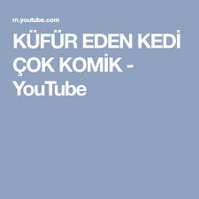 Kufur Eden Kedi Cok Komik Youtube Komik