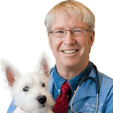 Pet Anxiety Awareness Month June 2024