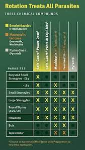 Rotation Chart Horse Health Equine Care Animal Nutrition