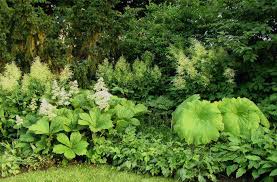 Staudengarten Gross Potrems Gartenrundgang Im Juli Staudengarten Schattengarten Gartenschirme