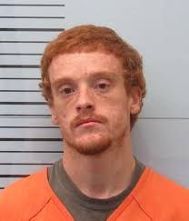 Harmontown man arrested for allegedly stealing a vehicle