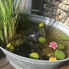 Miniteich Fur Balkon Oder Terrasse Schnell Selber Machen Miniteich Selber Machen Garten Und Wasserbecken Garten