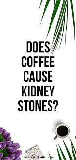 Pin On Coffee Education Best Of
