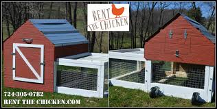 Maybe you would like to learn more about one of these? Rent The Chicken Out Of Area Packages