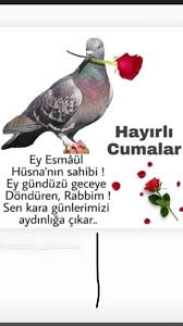 Hanife Kahraman Adli Kullanicinin Cizgi Panosundaki Pin 2020 Yolculuk