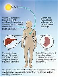 vitamin d deficiency wikipedia