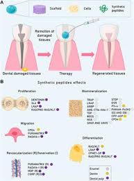However, it is not always convenient for everybody to make an empty time slot to visit tm point, if you need to register for unifi and streamyx broadband service? Frontiers Bioactive Synthetic Peptides For Oral Tissues Regeneration Materials