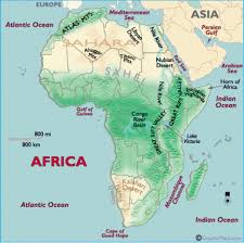The magic of the internet. Physical Environment Congo Rainforest