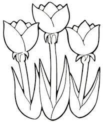 Dibujos De Plantas Para Colorear