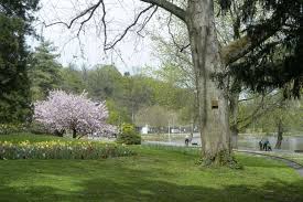 Auf dem spielplatz gibt es unter anderem: Bilderstrecke 60 Jahre Deutsch Franzosischer Garten Dfg In Saarbrucken