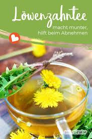 Fahren sie mit dem rad zur arbeit. Lowenzahntee Macht Munter Hilft Beim Abnehmen Und Ist Ein Optimaler Fastenbegleiter