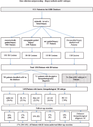 data collection and data management flow chart of all