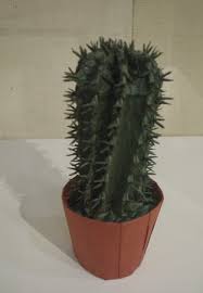 These origami cacti are a great little gift to give friends and family, they can be displayed on desks and require no water! Robt J Lang S Origami Cactus In Folded Transformations Current Dec 2016 Picture Of The Huntington Desert Garden San Marino Tripadvisor