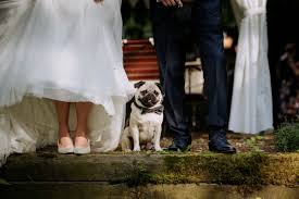 Sogar auf alten fotos strahlen unsere grossmütter in. Hochzeit Kirchliche Trauung Aschaffenburg Feier In Der Steffens Herrnmuhle Alzenau S S Timo Raab Fotograf Hochzeitsfotograf Aschaffenburg