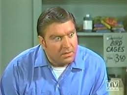 Thrilling Days of Yesteryear: Mayberry Tuesdays #21: “The Pet Shop”  (02/24/69, prod. no. 0123)