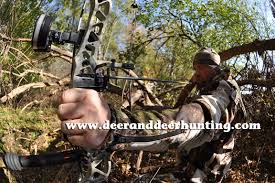 Bow Hunting Tip Carefully Consider Your Draw Weight