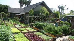 Related Image Growing Food Farm Gardens Urban Garden