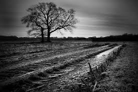 Beautiful Scenery Images Black And White 25 Wonderful Black And White Countryside Landscapes Countryside Landscape Best Landscape Photography Landscape