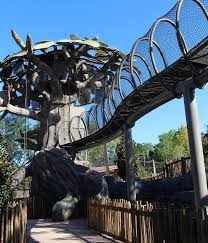 Jacksonville, fl — the jacksonville light boat parade will be back on thanksgiving weekend this year, as the city takes back ownership of the event and the estimated $60,000 bill. Grand Opening Held For New African Forest Exhibit At The Jacksonville Zoo And Gardens 104 5 Wokv