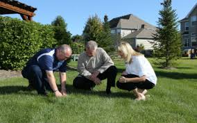 Ccg (coupon code group) offers coupon codes, promo codes, deals and promotional codes, which will offer a discount on products and services. Lawn Care Weed Control Rock Hill Sc Spring Green