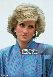 415 Diana Oldfield Stock Photos, High-Res Pictures, and Images