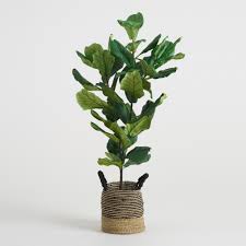Find the products you love for less at kohl's®. 22 Fake Plants For Anyone Who Can T Keep Real Ones Alive Self
